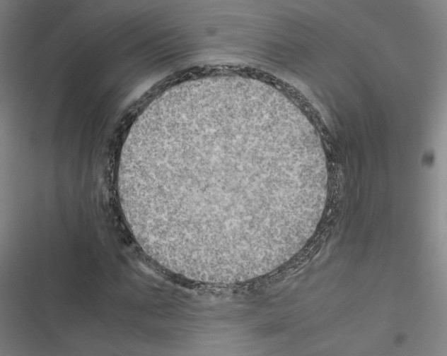 X0000116460871201001201258