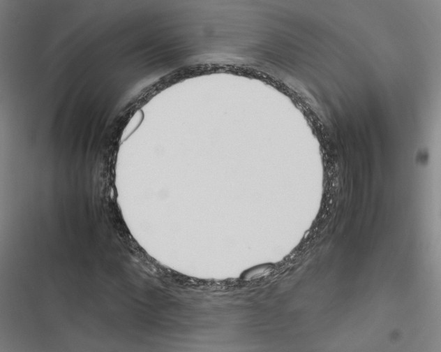 X0000116460872201001201258