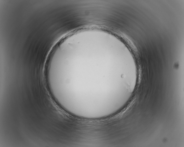 X0000116460876201001201258
