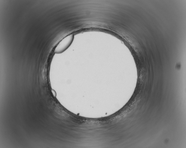 X0000116460877201001201258