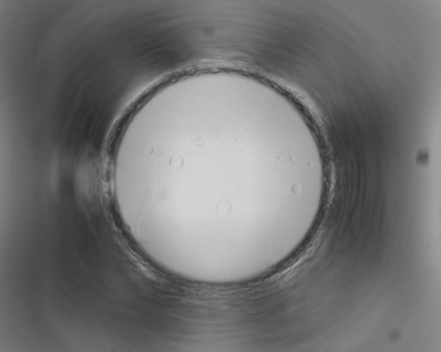 X0000116460878201001201258