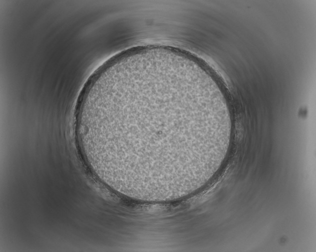 X0000116460879201001201258