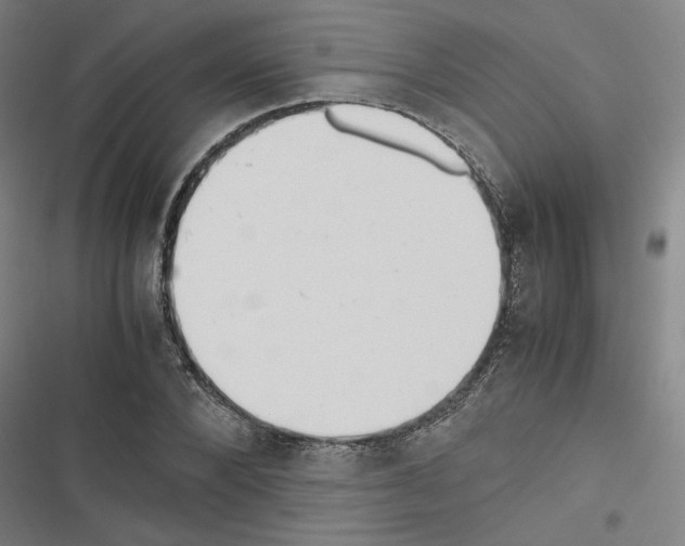 X0000116460880201001201258