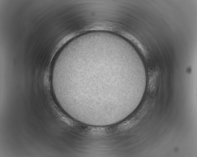X0000116460882201001201258