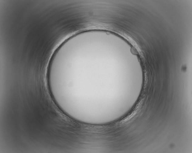 X0000116460885201001201258