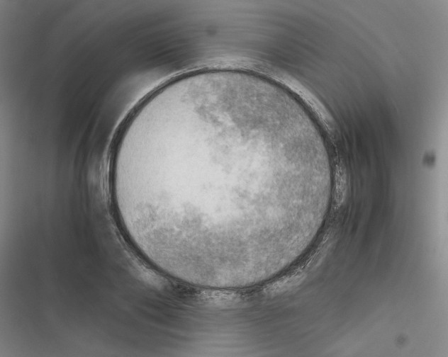 X0000116460886201001201258