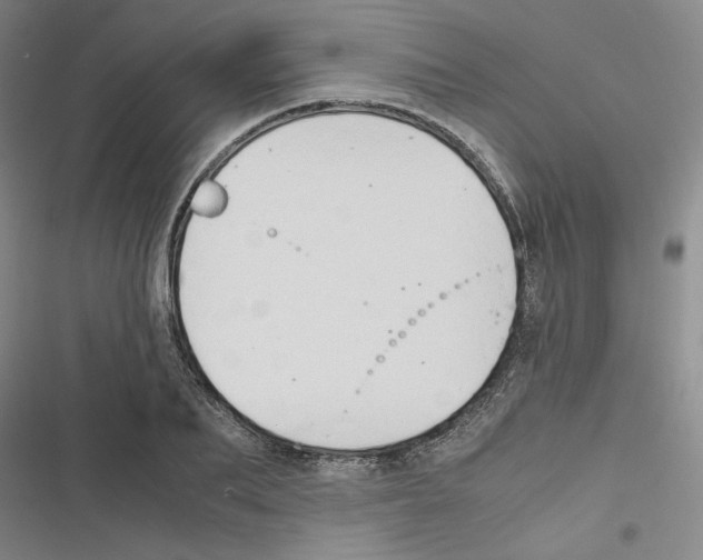 X0000116460887201001201258
