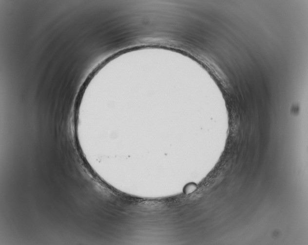 X0000116460888201001201258