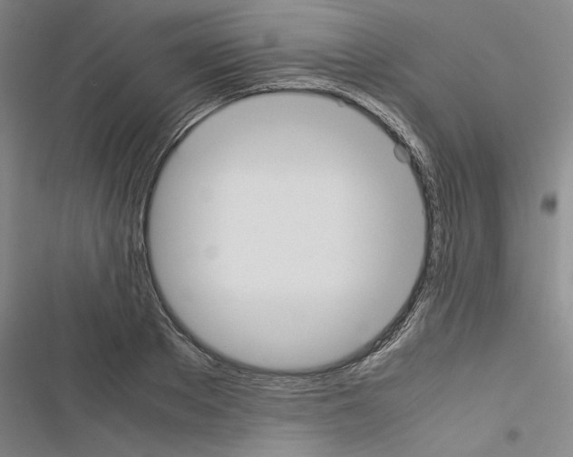 X0000116460889201001201258