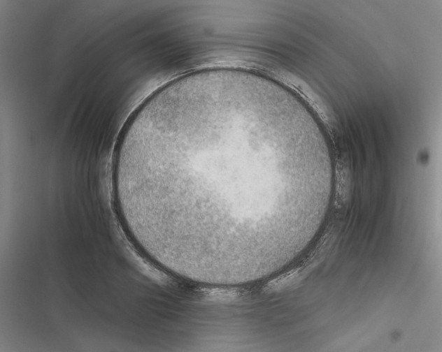 X0000116460890201001201258