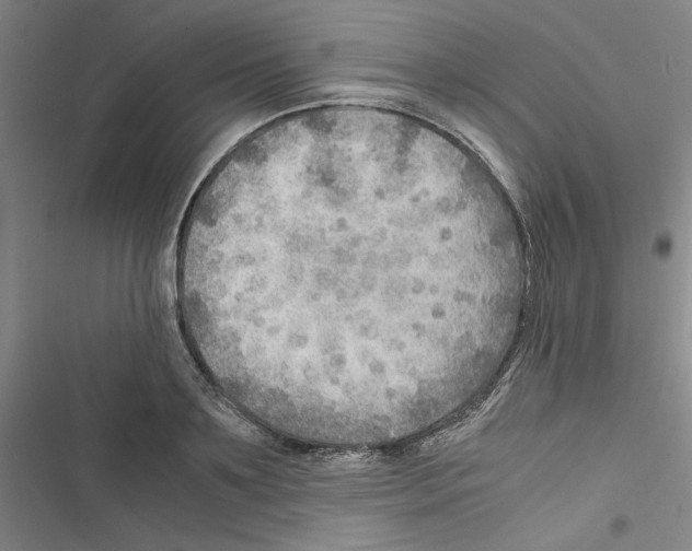 X0000116460891201001201258