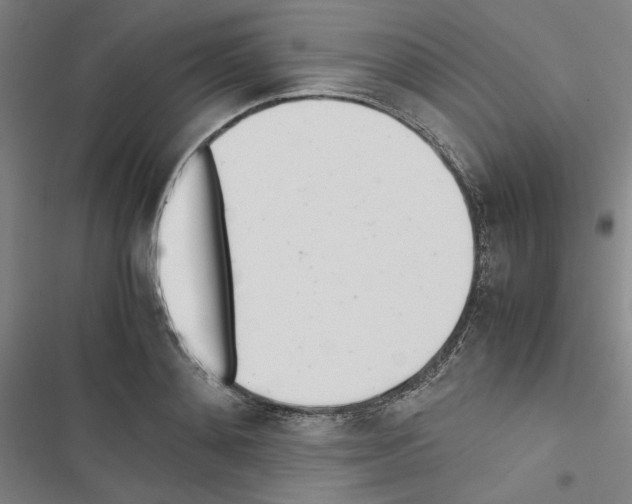 X0000116460892201001201258