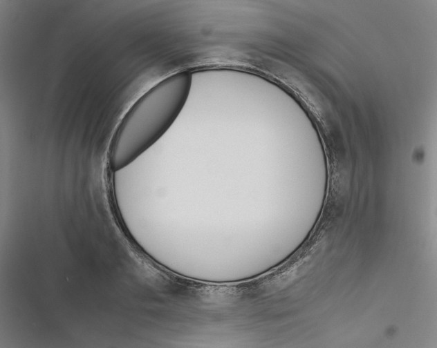 X0000116460893201001201258