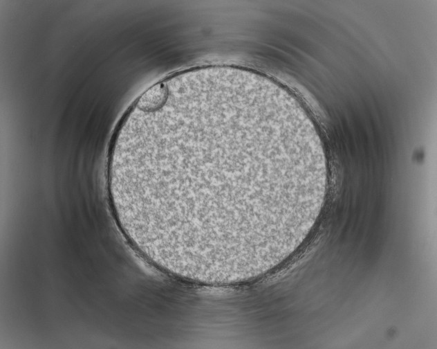 X0000116460894201001201258