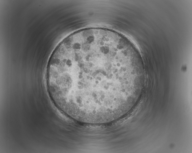 X0000116460895201001201258