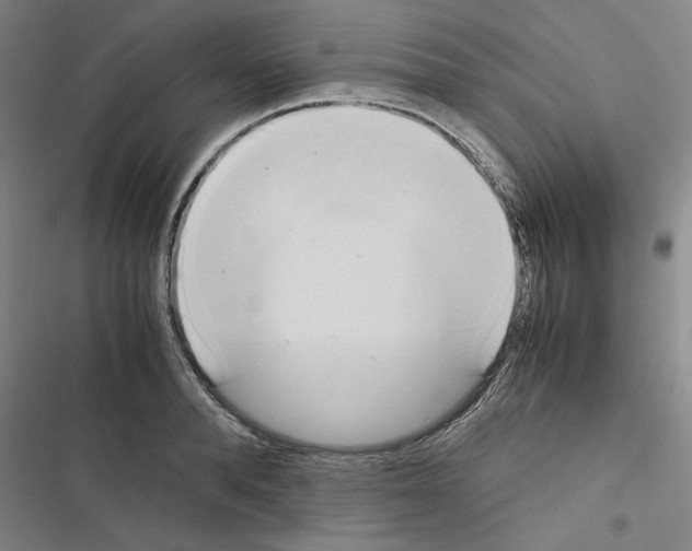 X0000116460896201001201258
