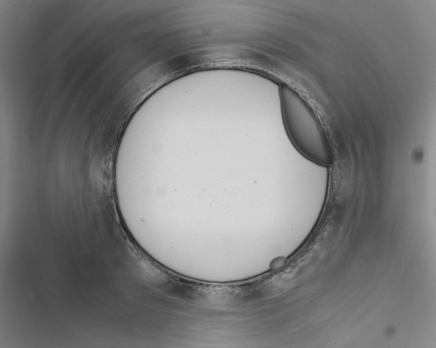 X0000116460897201001201258