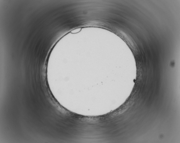 X0000116460900201001201258