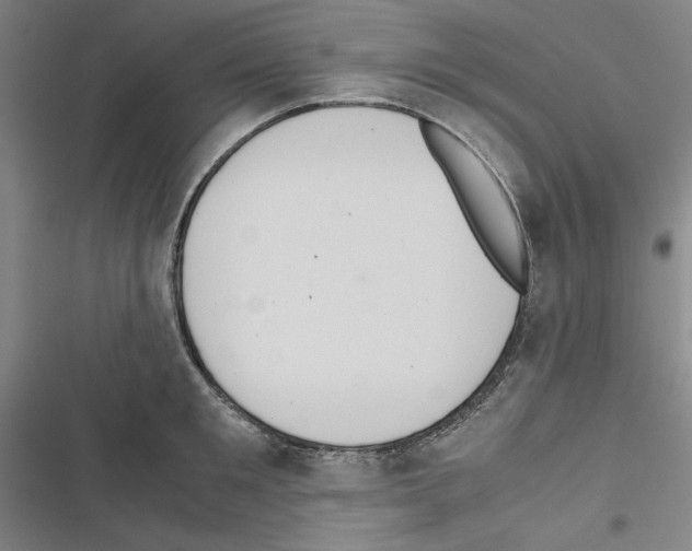 X0000116460901201001201258