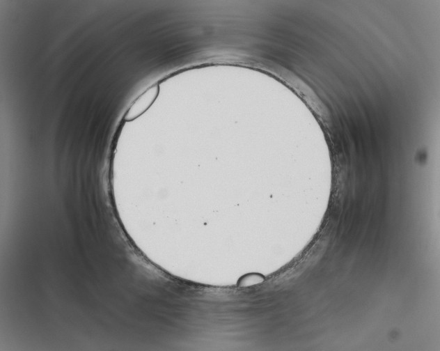 X0000116460904201001201257