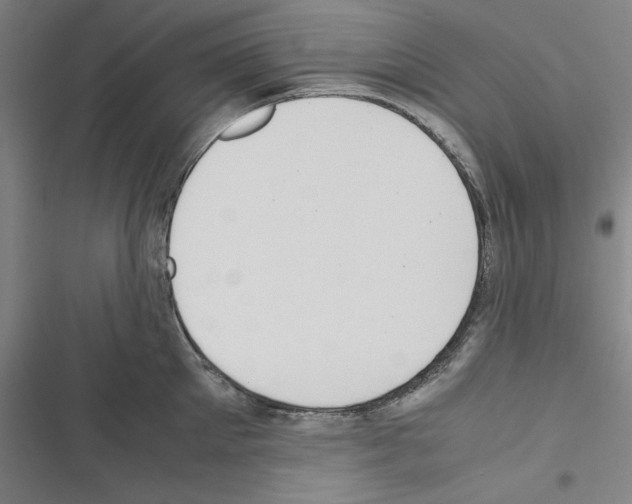 X0000116460905201001201257