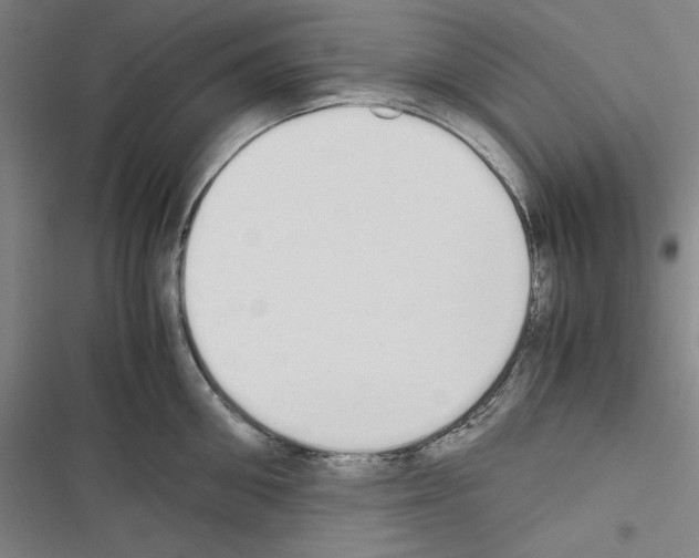 X0000116460906201001201257