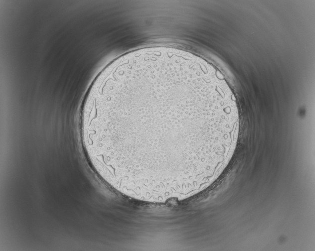 X0000116460907201001201257