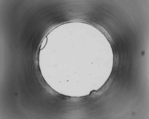 X0000116460908201001201257