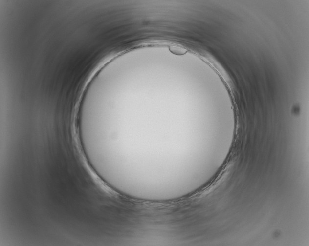 X0000116460909201001201257