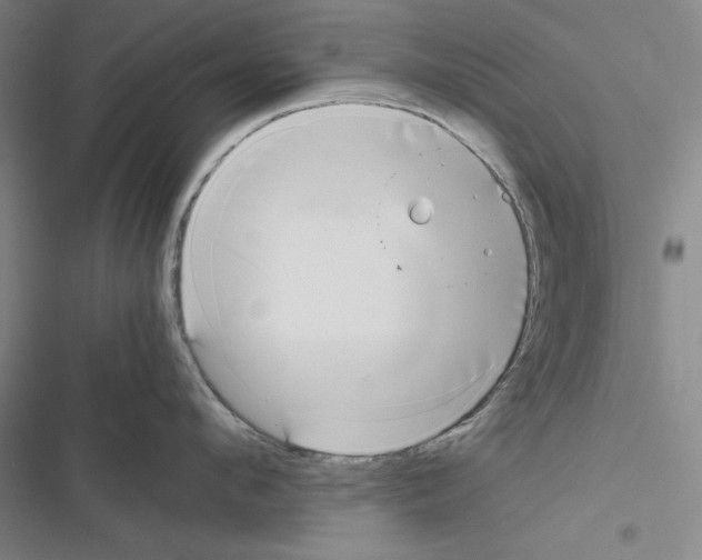 X0000116460912201001201257