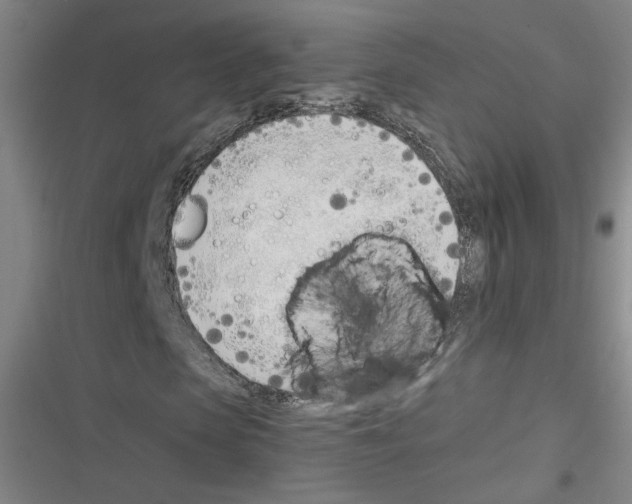 X0000116460913201001201257