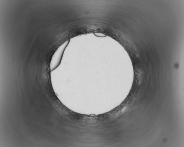 X0000116460914201001201257