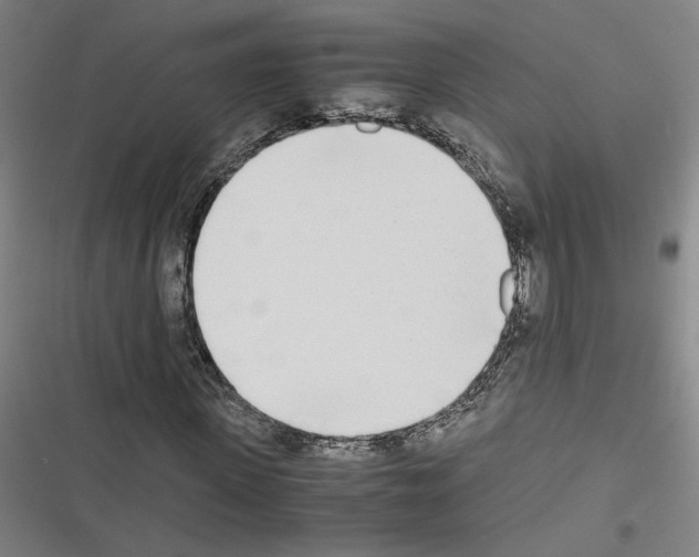 X0000116460915201001201257