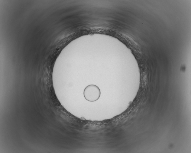 X0000116460917201001201257