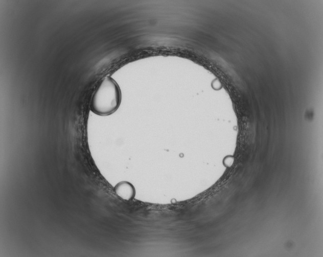 X0000116460918201001201257