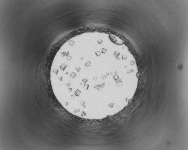 X0000116460919201001201257