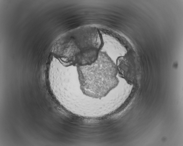 X0000116460921201001201257