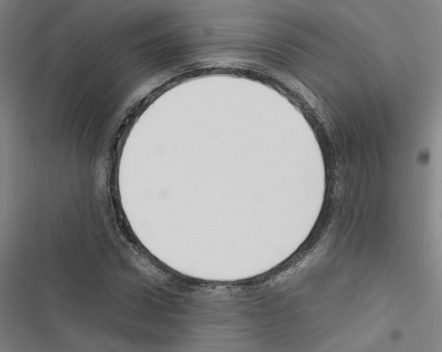 X0000116460922201001201257