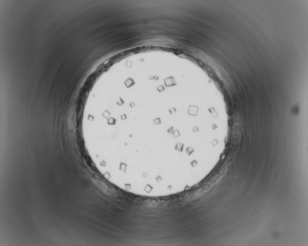 X0000116460923201001201257
