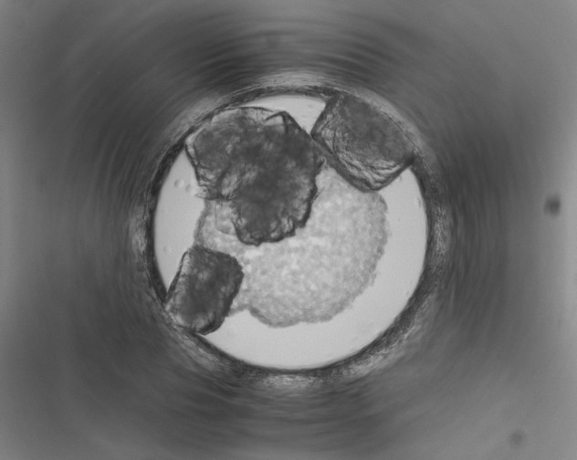 X0000116460929201001201257