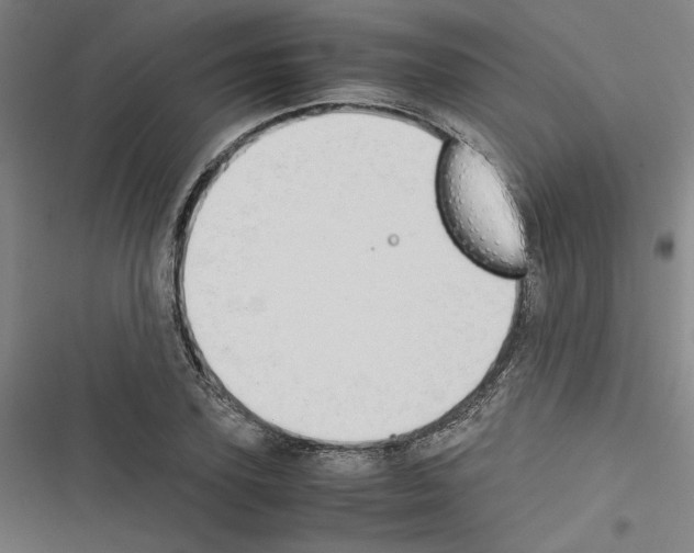 X0000116460931201001201257
