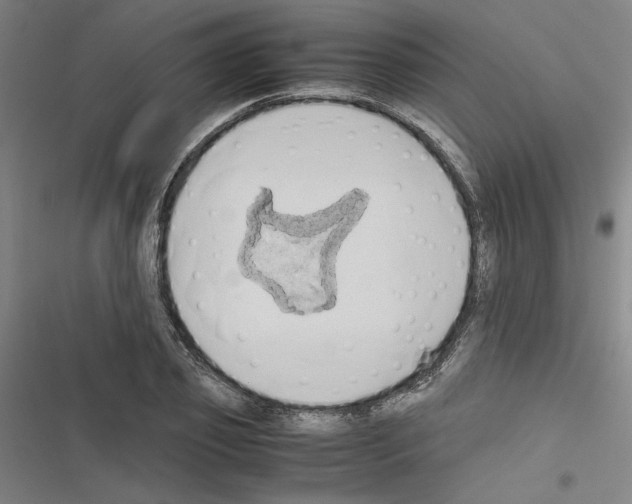 X0000116460933201001201257