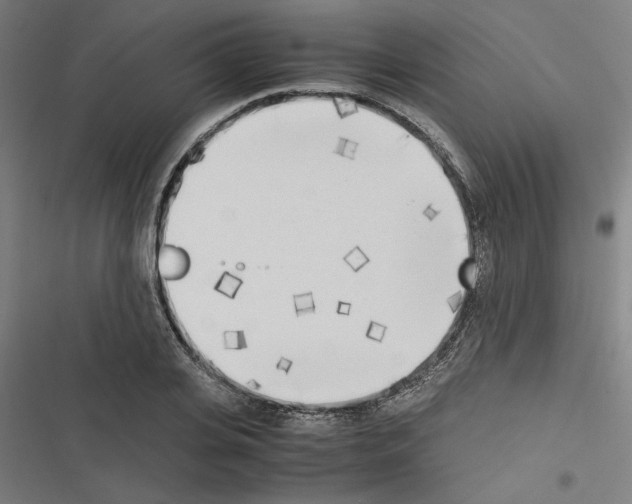 X0000116460935201001201257