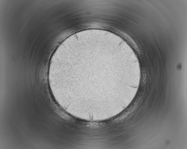 X0000116460938201001201257