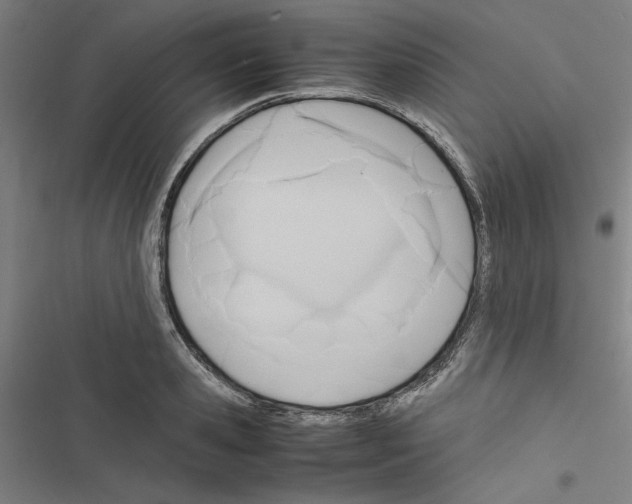 X0000116460941201001201257