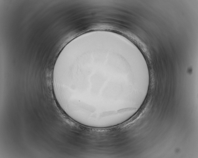 X0000116460945201001201257