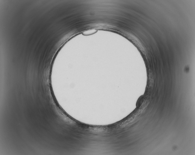 X0000116460946201001201257