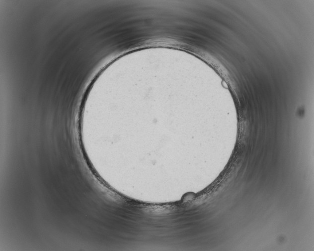X0000116460947201001201257