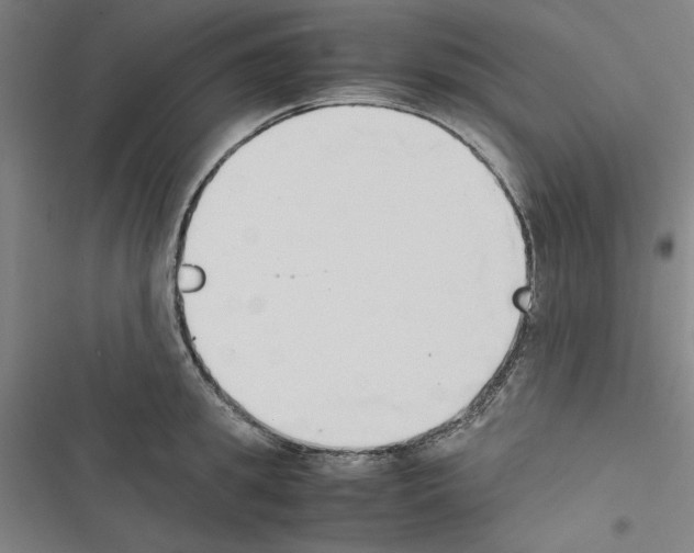 X0000116460949201001201257