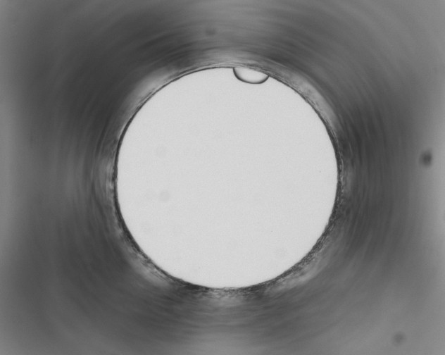 X0000116460954201001201257